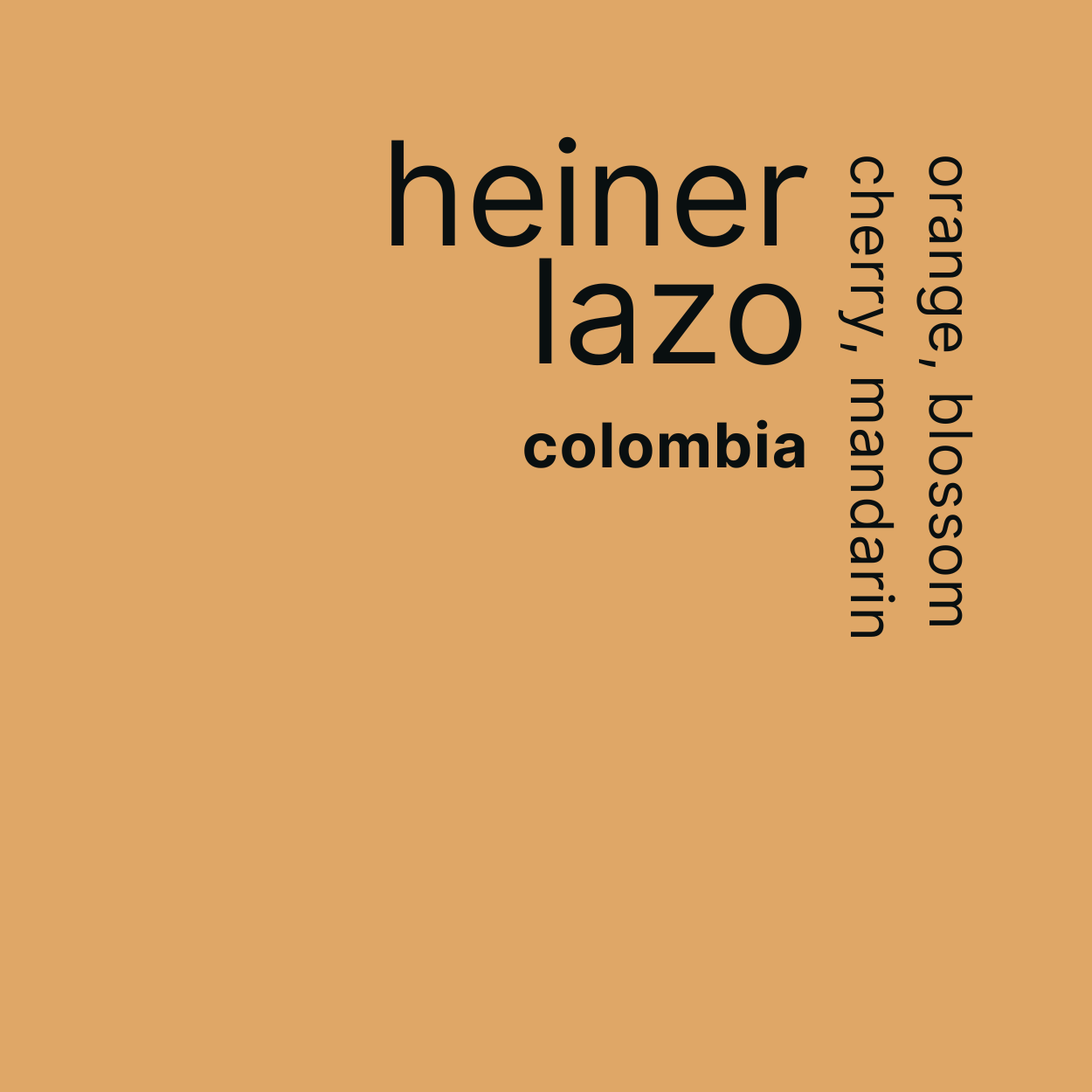 heiner lazo