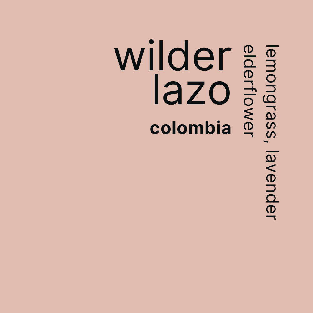 wilder lazo